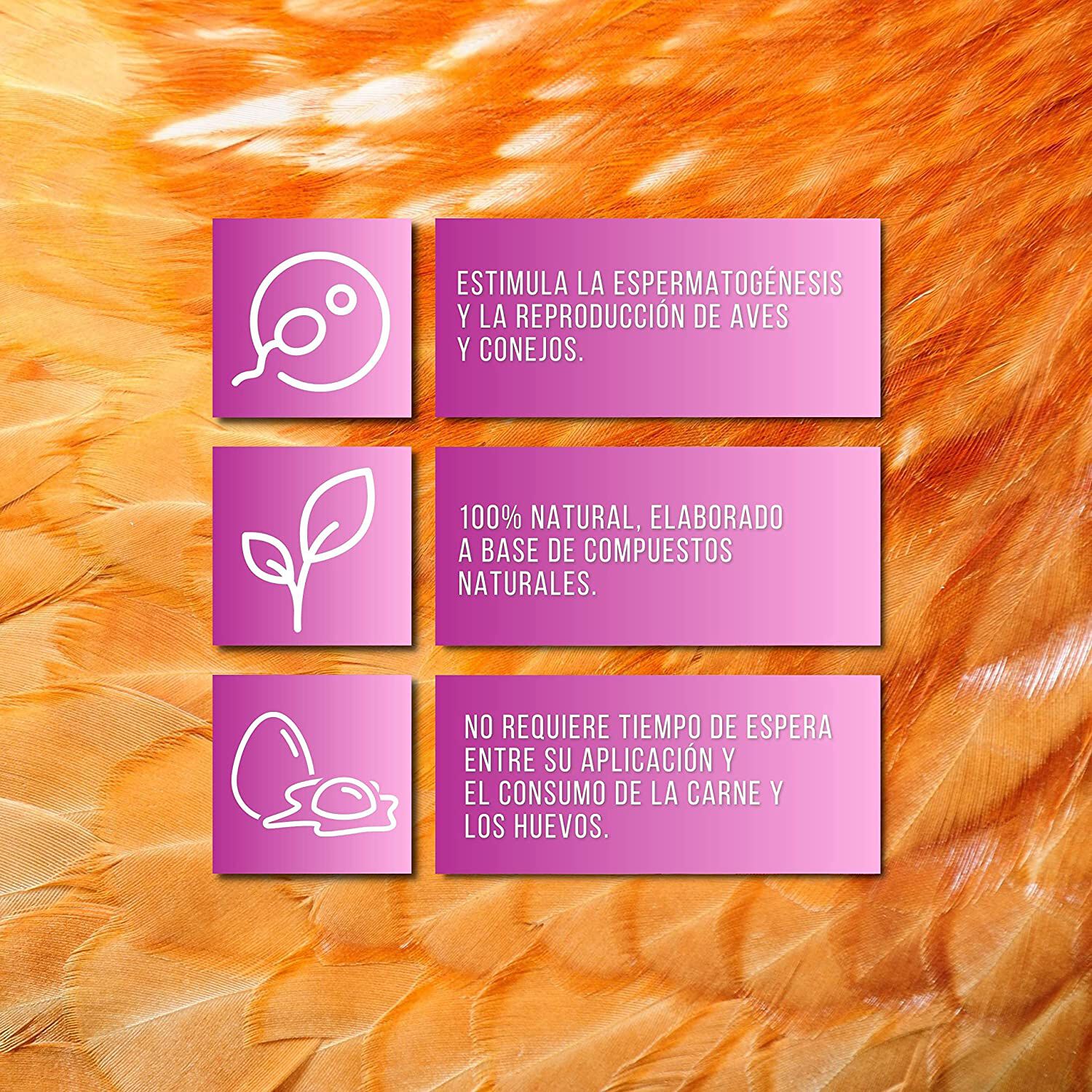 Finca casarejo soluf&eacute;rtil estimulaci&oacute;n de fertilidad natural para aves y conejos, , large Imagen numero 2